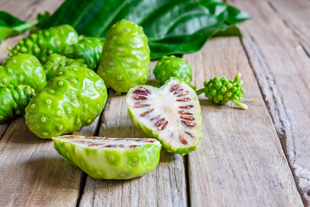 Noni Fruit et Jus son Origine et ses Bienfaits Controversés