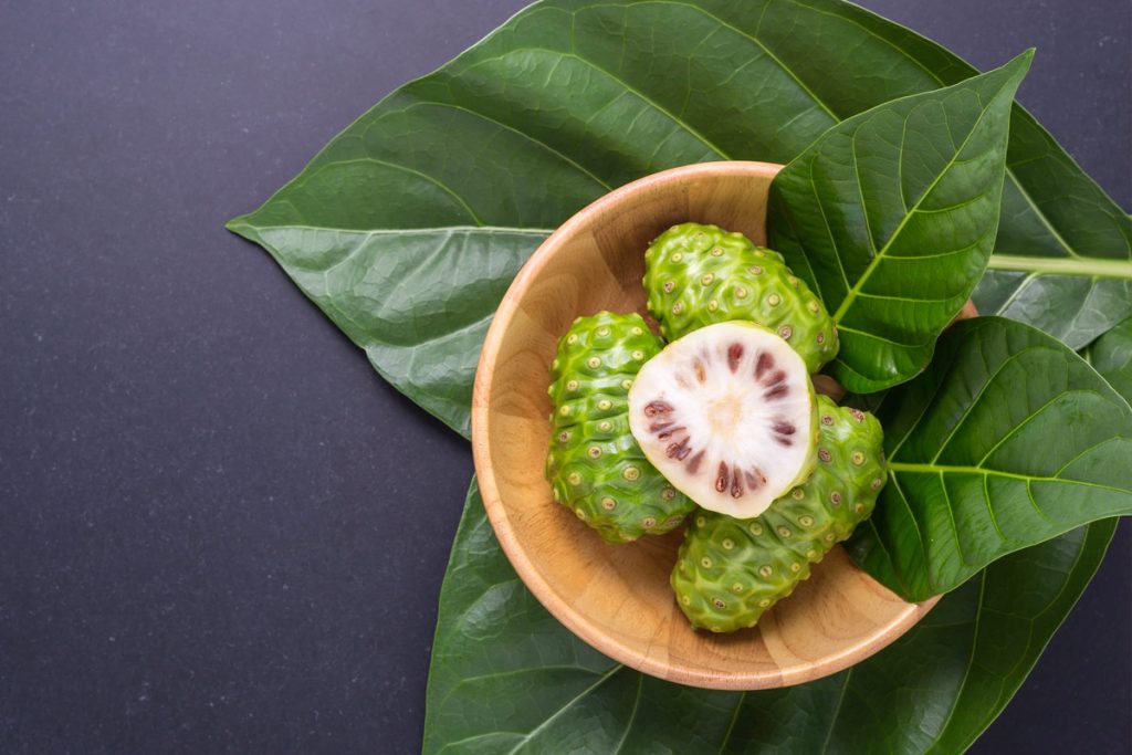 Noni Fruit et Jus son Origine et ses Bienfaits Controversés