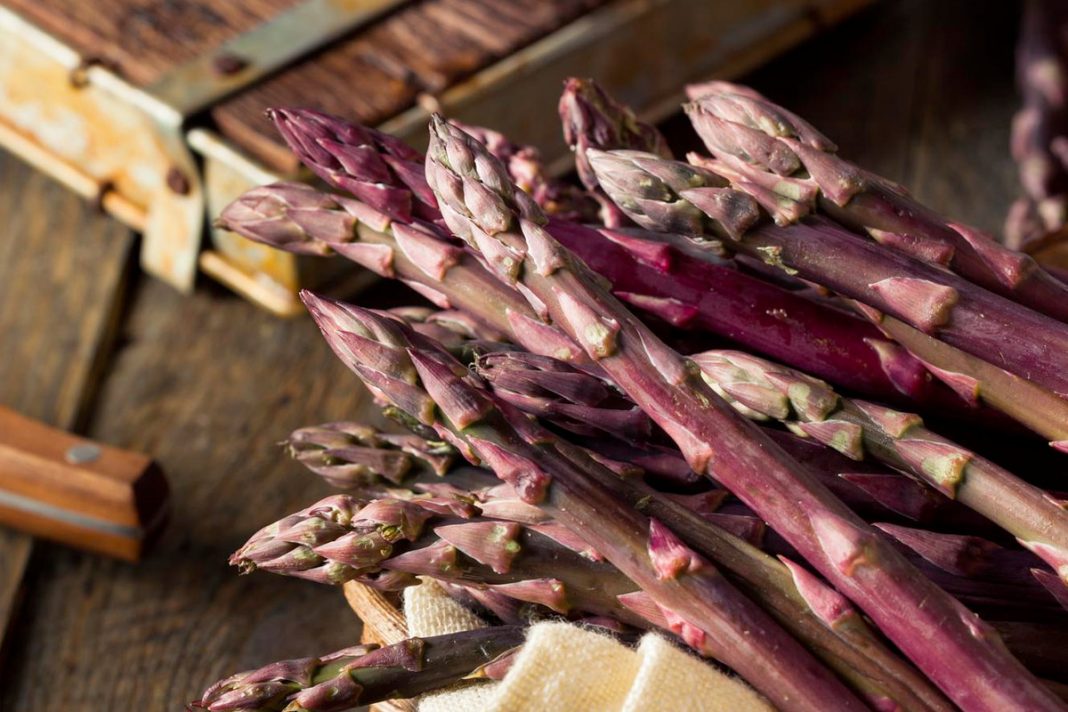 Asperges Violettes Bienfaits Et Utilisation En Cuisine